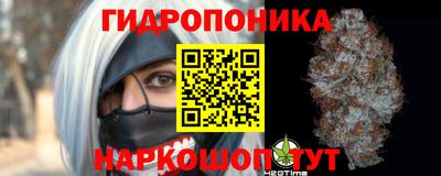 a pvp Дмитров